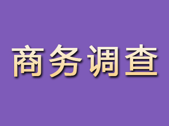 龙泉驿商务调查